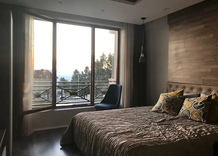 Premier 24 Milmari * コパオニク