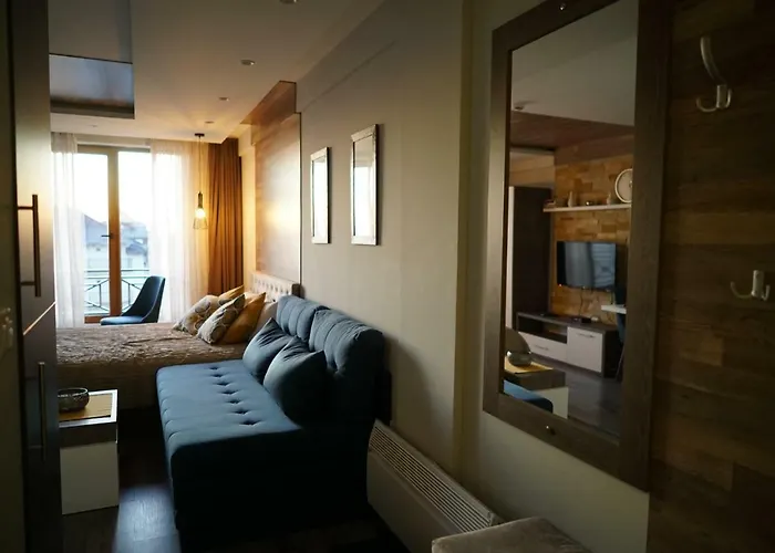 Premier 24 Milmari コパオニク