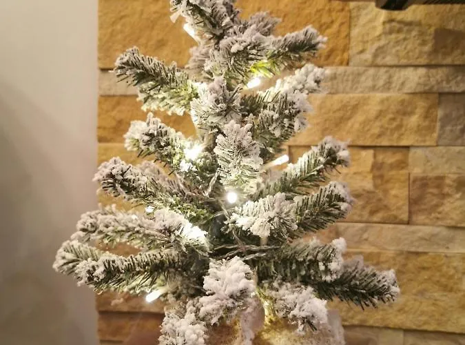 Premier 24 Milmari アパート コパオニク